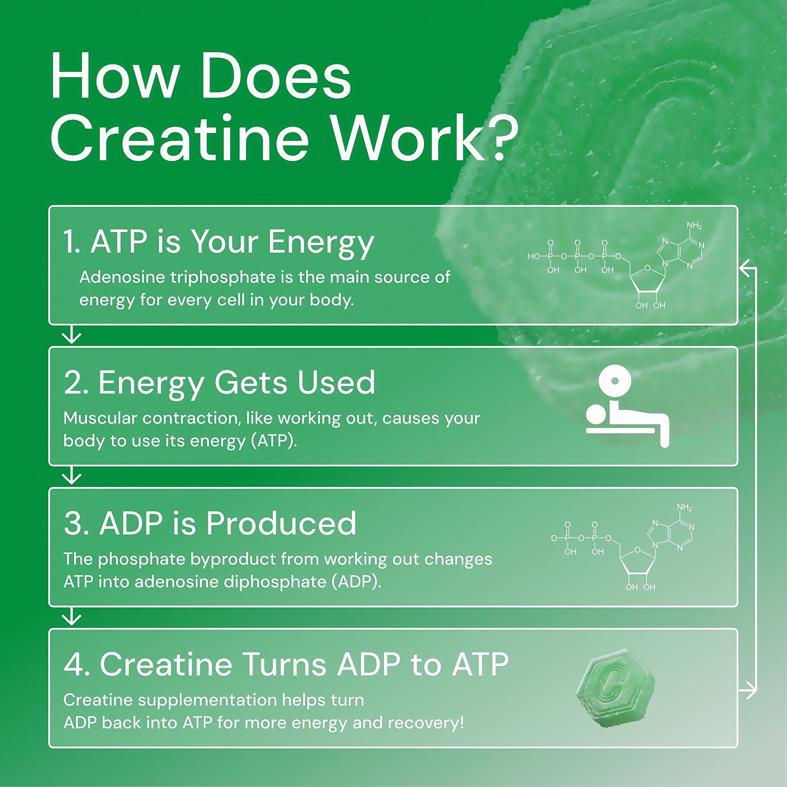 Core Create Creatine Monohydrate Gummies